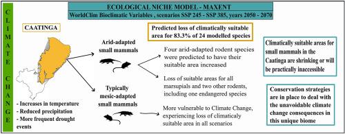 Where could they go? Potential distribution of small mammals in the Caatinga under climate change scenarios