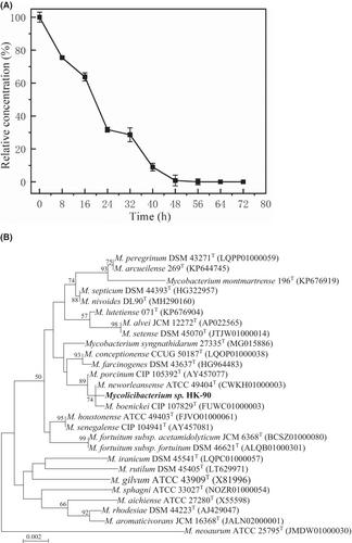 Microbial metabolism of diosgenin by a novel isolated Mycolicibacterium sp. HK-90: A promising biosynthetic platform to produce 19-carbon and 21-carbon steroids