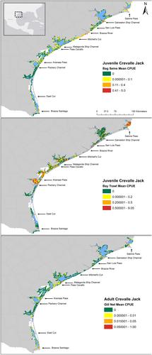 Seasonality, distribution, and harvest trends of Crevalle Jack in Texas