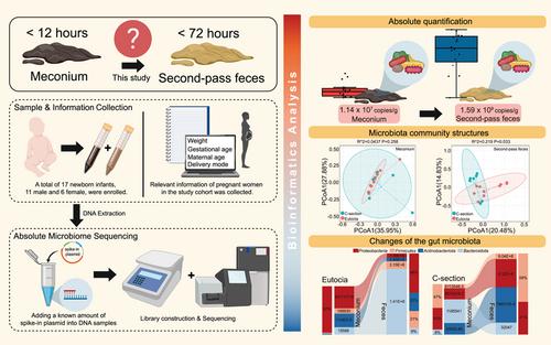 Bacterial load in meconium