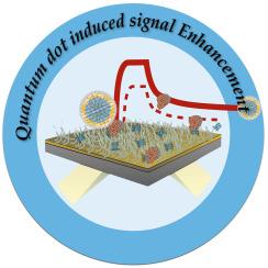 The impact of quantum dot on the SPR detection improvement of molecular interactions between Rap1 interacting factor1 (Rif1) and G4