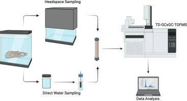 Identifying VOCs from human remains detectable in water using comprehensive two-dimensional gas chromatography