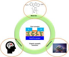 Organic synaptic transistors: Biocompatible neuromorphic devices for in-vivo applications