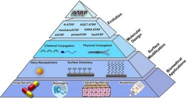 Progress in ATRP-derived materials for biomedical applications