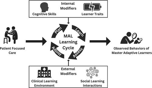 What the experts see: A qualitative analysis of the behaviors of master adaptive learners in emergency medicine