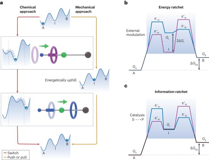 Artificial molecular pumps