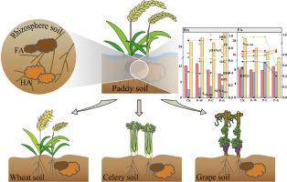 Structure and composition of rhizosphere-soil humic acid and fulvic acid as affected by the land-use change from paddy to upland fields