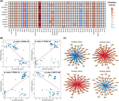 Systematic elucidation of independently modulated genes in Lactiplantibacillus plantarum reveals a trade-off between secondary and primary metabolism