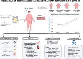 Impact Of body Mass Index on Cardiopulmonary Outcomes of COVID-19 Hospitalizations Complicated by Severe Sepsis