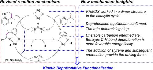 Mechanistic Investigation on Potassium Amide-Catalyzed Benzylic C–H Bond Addition of Alkylpyridines to Styrenes