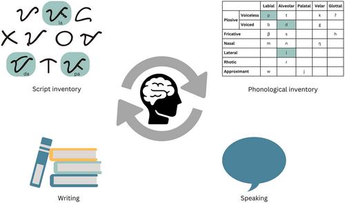 Cognitive Science From the Perspective of Linguistic Diversity