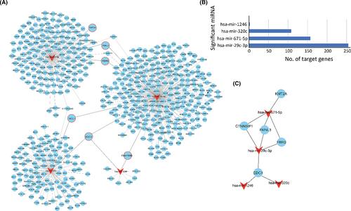 Global analysis of urinary extracellular vesicle small RNAs in autosomal dominant polycystic kidney disease