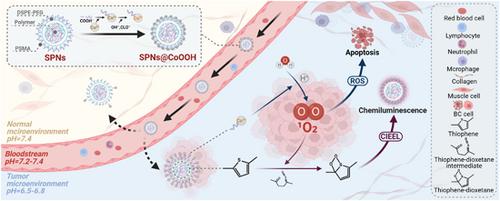 Precise tumor treatment: pH-responsive nanoparticles for modulating and real-time monitoring tumor microenvironment