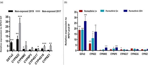 Exploring the molecular mechanisms of increased intensity of pyrethroid resistance in Central African population of a major malaria vector Anopheles coluzzii