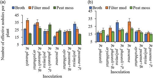 Influence of native rhizobacteria co-inoculation and formulation of bacterial inoculants on the growth and yield of common bean (Phaseolus vulgaris L.)