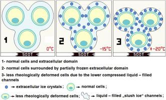 Cryopreservation of human semen by inherently-controlled icing probability: Or how the surface profile of superhydrophobic carbon soot coatings and the sperm volume affect the outcome of slow freezing?