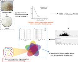 The effect of glycation on the identification of characteristic tryptic peptides from porcine gelatin