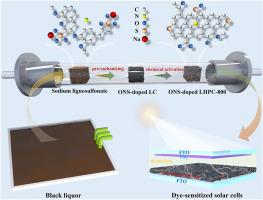 Sodium lignosulfonate-derived ONS-doped hierarchical porous carbon for high-performance DSSC counter electrodes