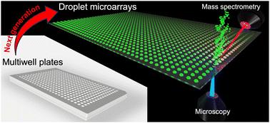 Open microfluidics: droplet microarrays as next generation multiwell plates for high throughput screening