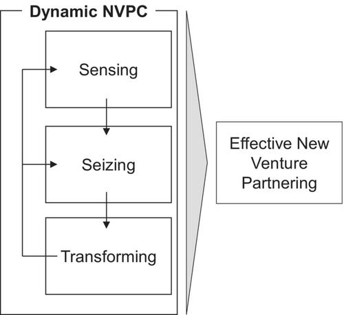 Microfoundations of dynamic new venture partnering capabilities