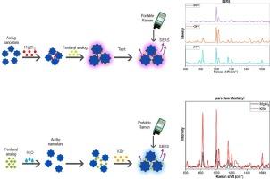 Detection of para, ortho, meta-fluorofentanyl by surface-enhanced Raman spectroscopy