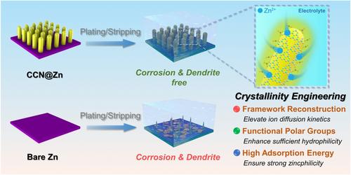 Crystallinity engineering of carbon nitride protective coating for ultra-stable Zn metal anodes