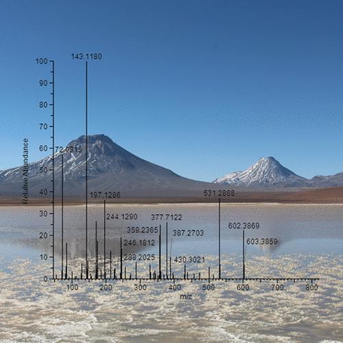 Exploring Andean High-Altitude Lake Extremophiles through Advanced Proteotyping