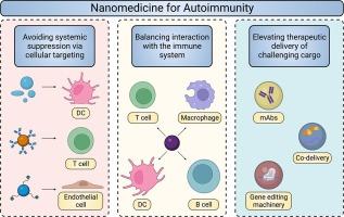 Emerging strategies for nanomedicine in autoimmunity