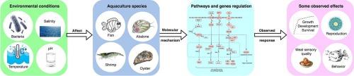 Preliminary analysis of pathways and their implications during salinity stress in abalone