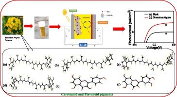 Utilization of natural dyes extracted from mustard flower (Genus: Brassica, Species: Napus) as photosensitizer for DSSC: Experimental and computational studies