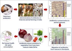 Risks of veterinary antibiotics contamination in Indian organic farmlands: A reality unfolded