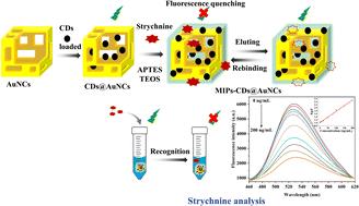 Ultra-sensitive fluorescent detection of strychnine based on carbon dot self-assembled gold nanocage sensing probe†