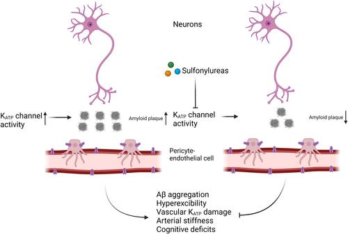 Prospects of antidiabetic drugs in the treatment of neurodegenerative disease