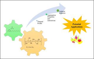 Ionic liquids based on carboxylate anions: Auto and hetero assembly with methylcellulose in diluted and semi-diluted regime