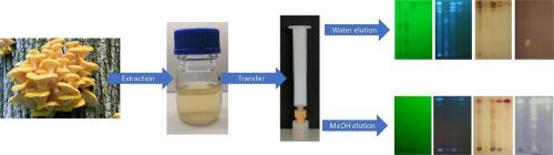 Two-step dual-layer SPE method to separate antibacterial and antioxidant mushroom compounds