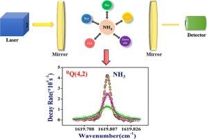 Collision-broadening of vibration-inversion-rotation ammonia spectral lines in Q(J)-branch at 6.2 µm by cavity ring-down spectroscopy