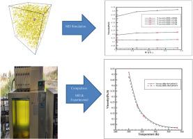 Molecular dynamics simulations and experimental investigation of viscosity of CuO-oil nanolubricant at different temperatures and volume fractions of nanoparticles