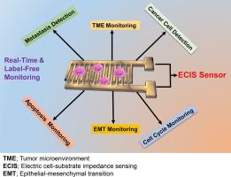 Electric cell-substrate impedance sensing in cancer research: An in-depth exploration of impedance sensing for profiling cancer cell behavior