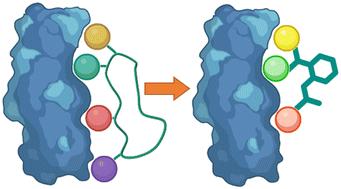 Strategies for converting turn-motif and cyclic peptides to small molecules for targeting protein–protein interactions