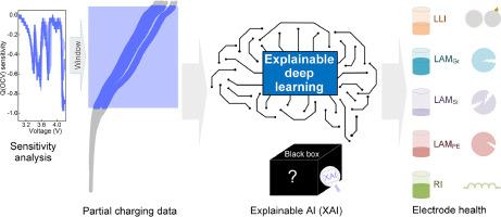 Diagnosing health in composite battery electrodes with explainable deep learning and partial charging data