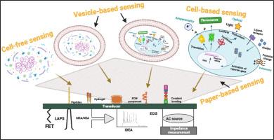 Future advances of artificial biosensor technology in biomedical applications