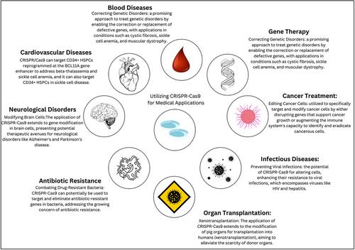 Genome Engineering as a Therapeutic Approach in Cancer Therapy: A Comprehensive Review