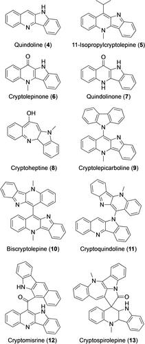 Regiodivergent Synthesis and Biological Activities of Indoloquinoline Based Compounds