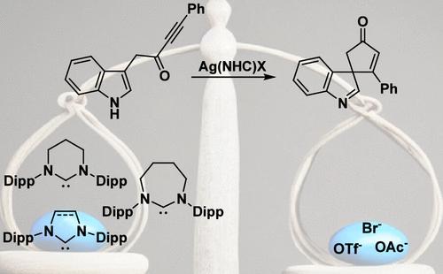 Silver–N-Heterocyclic Carbenes in π–Activation: Synergistic Effects between the Ligand Ring Size and the Anion