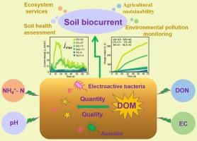 Response of biocurrent conduction to soil microenvironment