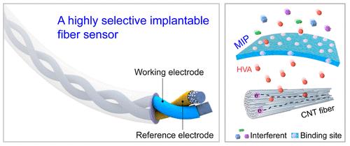 A Highly Selective Implantable Electrochemical Fiber Sensor for Real-Time Monitoring of Blood Homovanillic Acid