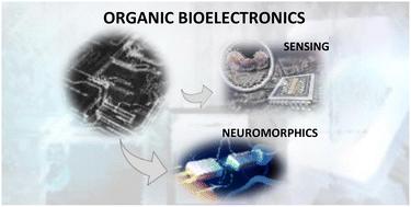 Spiers Memorial Lecture: Challenges and prospects in organic photonics and electronics