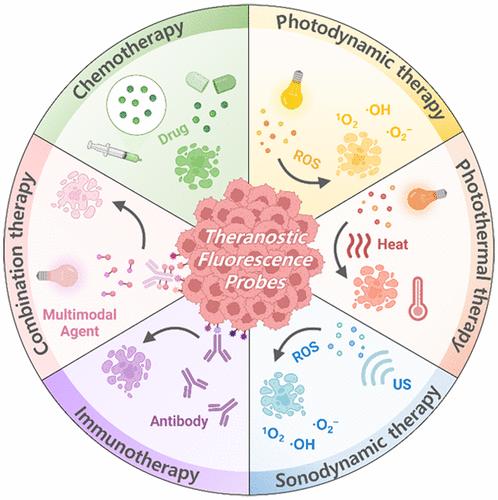 Theranostic Fluorescent Probes