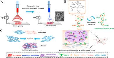 Heparin-loaded hierarchical fiber/microsphere scaffolds for anti-inflammatory and promoting wound healing