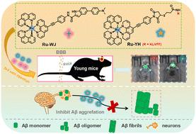 Development of Ru-polypyridyl complexes for real-time monitoring of Aβ oligomers and inhibition of Aβ fibril formation†